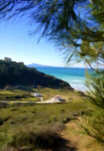 photo Balade à Erretegia - Un laboratoire vivant des solutions fondées sur la nature - CPIE Littoral basque