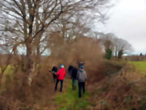 photo Journée des chemins