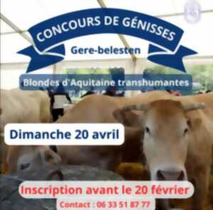 photo Concours de Génisses : foire agricole de la Vallée d'Ossau