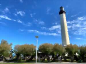 photo Visite Nature : lecture de paysage depuis le plateau du phare