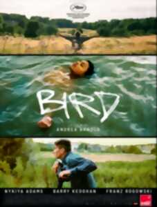 photo Cinéma Arudy : Bird VOSTFR