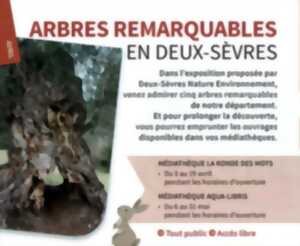 photo Arbres remarquables en Deux-Sèvres