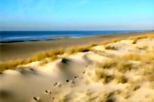 photo Dans les coulisses des dunes d'Ecault