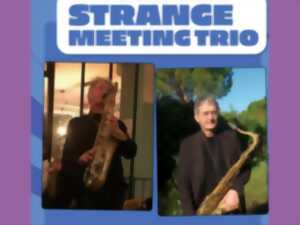 Concert du Strange Meeting Trio