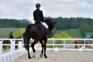 photo Concours de dressage