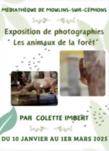 Exposition 