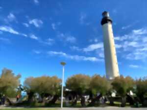 photo Visite Nature : lecture de paysage depuis le plateau du phare