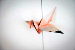 photo Les Ateliers de la Simplicité : Origami papier