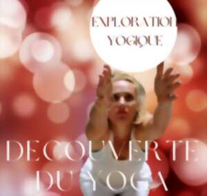 photo Stage de Yoga