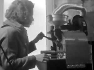 Découverte autour du café : de l'arbre à la tasse