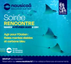 Soirée conférence « Agir pour l’Océan : Raies Mobula et Carbone Bleu » - Nausicaa