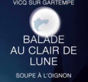 photo BALADE AU CLAIR DE LUNE