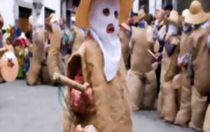 photo Conférence sur la tradition carnavalesque