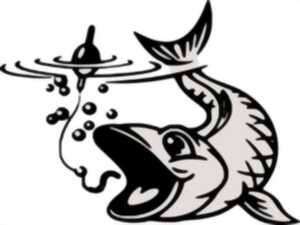 photo Concours de pêche à la truite