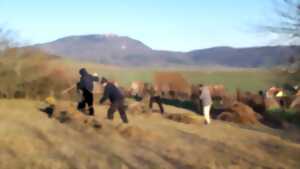 photo Chantier nature participatif - Colline du Grasberg