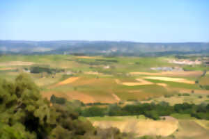 photo VIGNES ET VOLCANS