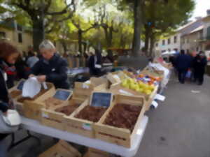 photo FÊTE DU TERROIR