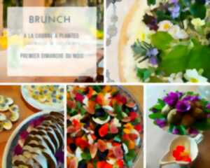 photo Brunch