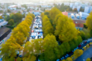 photo Marché de Quintaou