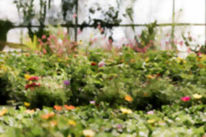 photo Jardin écologique