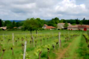 photo Un week-end, un vigneron indépendant au Château Les Mangons