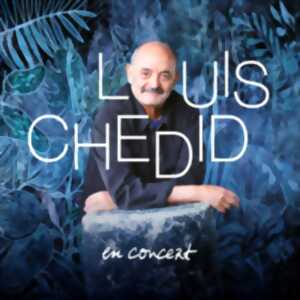 photo Concert Louis Chédid