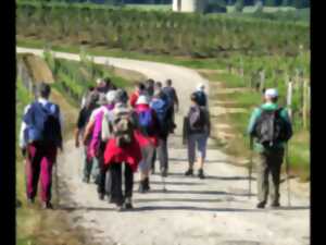 Escapade en Haut Entre-deux-Mers