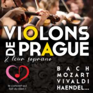 photo Les violons de Prague en concert