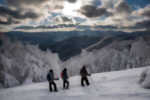 photo Balade en raquettes à neige au Markstein