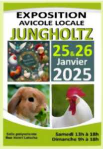 photo Exposition avicole de Jungholtz