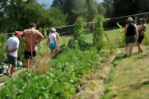 photo Rendez-vous aux jardins 2025 à Mon jardin nourricier