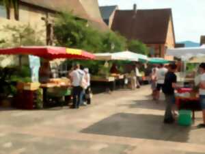 photo Sommermarik : marché du terroir