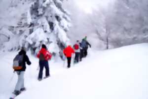 photo Balade en raquettes à neige