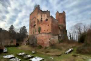 photo Conférence - Châteaux d'Ottrott - leur histoire - leur devenir