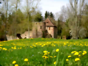 photo Balade ludique à Mittelhausen