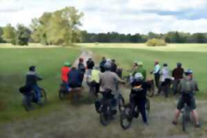 photo Visite guidée à vélo de la jungle rhénane