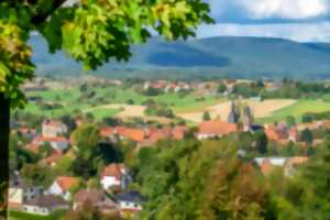 Balade ludique à Soultz sous Forêts