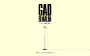 Gad Elmaleh - Zénith de Strasbourg