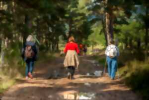 photo Sortie avec le Club Vosgien du Kochersberg : Le Sentier des Géants, Lutzelhouse