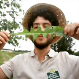 Atelier plantes sauvages comestibles, à la Cueillette de l'Aragnon