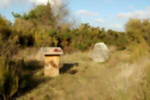 photo Chantier bénévole nature : Camp des Romains