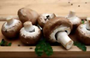 A la recherche des champignons