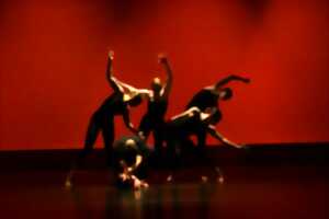 photo Stage de danse contemporaine - Le floorwork