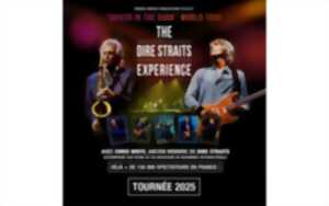 THE DIRE STRAITS EXPERIENCE