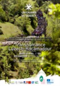 photo Transhumance Rocamadour-Luzech