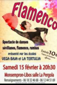 photo Spectacle Flamenco