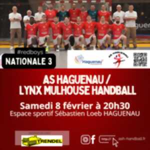 photo Match de hand : ASH SM1 - LYNX MULHOUSE