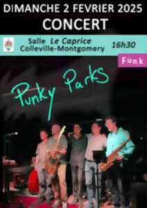 Punky Parks en concert