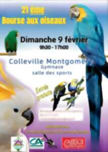 photo Bourse aux oiseaux