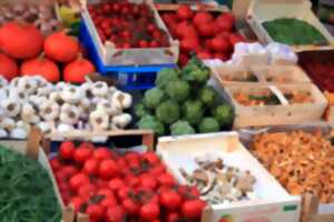 photo MARCHÉ DE SAINT-ROMAN-DE-TOUSQUE